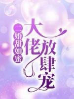 二婚甜如蜜：大佬放肆宠