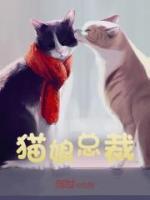 猫娘总裁