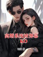 离婚系统被弹幕KO