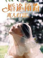 婚途陌路离人归