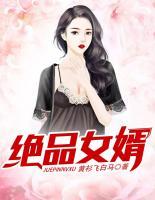 绝品女婿